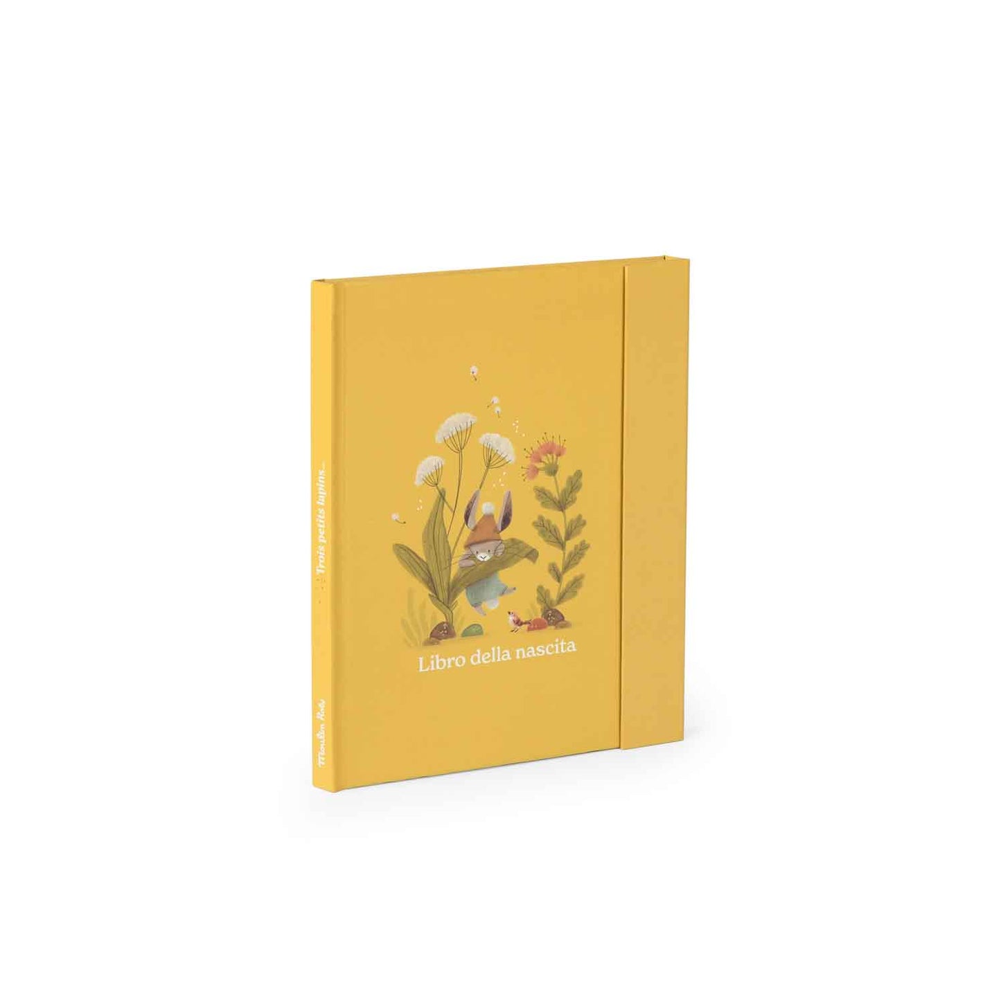 Libro nascita Ecole de Danse (italiano)