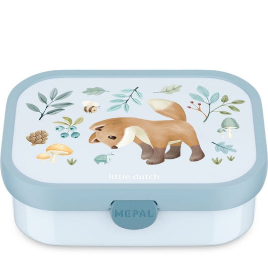 Lunch Box Campus con Divisori