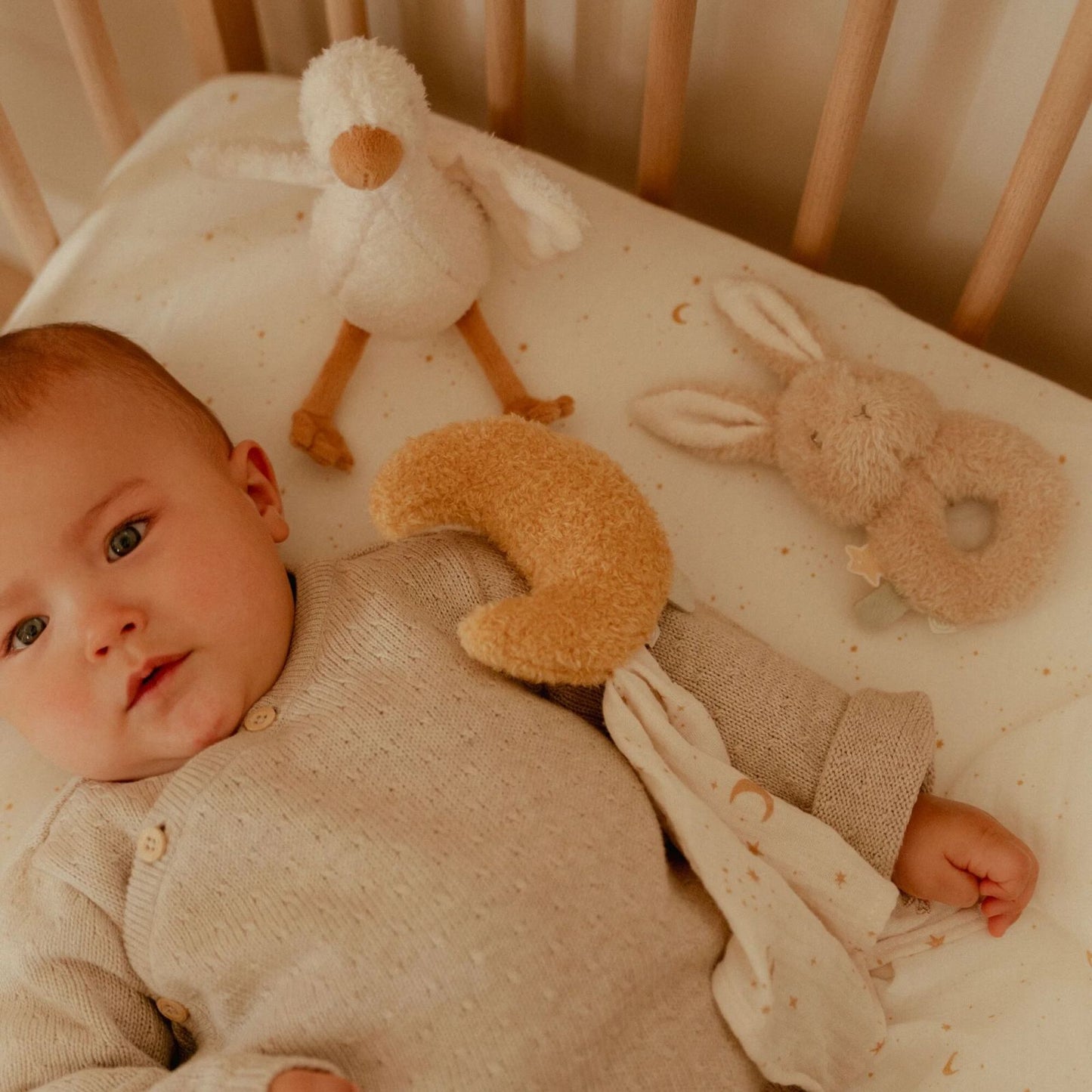 Box Regalo Goose & Bunny – Peluche