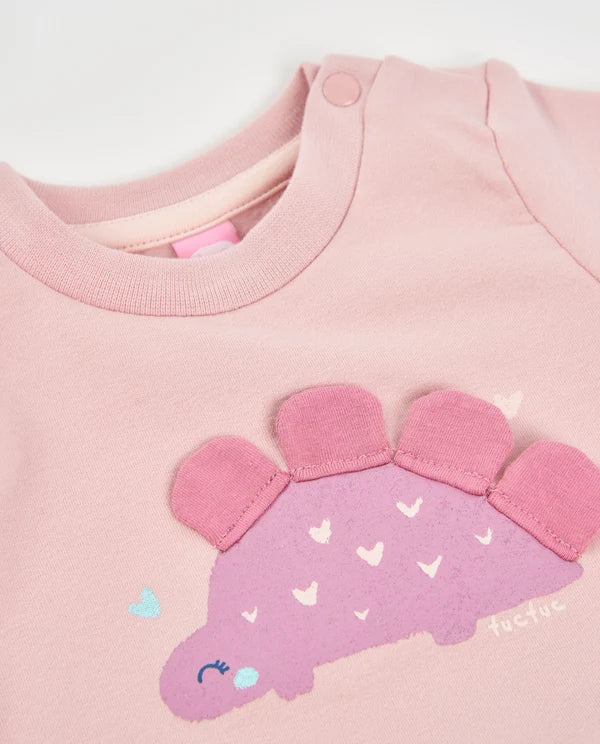 Completo neonata felpa e leggings con dinosauri - Newborn Girl