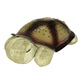 Twilight Turtle™ Luce Notturna - Proiettore di stelle